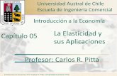 Capítulo 05 La Elasticidad y sus Aplicaciones Profesor ... 5.pdf · La Elasticidad y sus Aplicaciones Profesor: Carlos R. Pitta Introducción a la Economía, Prof. Carlos R. Pitta,