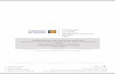 Caso práctico: La Plani - · PDF fileCaso práctico: La Plani Þ cación Estratégica del Museo Guggenheim Bilbao desde una perspectiva de Marketing Cuadernos de Gestión Vol. 9.