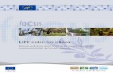 LIFE entre los olivos - ec.europa.euec.europa.eu/environment/life/publications/lifepublications/life... · Puede obtenerse información sobre la Unión Europea a través del servidor