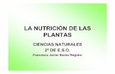 LA NUTRICIÓN DE LAS PLANTAS - Cniesrc's Blog · PDF fileLA FOTOSÍNTESIS (1) El alimento de los animales incluye sustancias inorgánicas, como el agua y las sales minerales, y sustancias