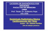 CATEDRA DE DIAGNÓSTICO POR IMÁGENES  · PDF fileCATEDRA DE DIAGNÓSTICO POR IMÁGENES FACULTAD DE MEDICINA UNNE Prof. Titular: Dr. Guillermo Pepe Año 2006 Semiología