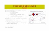 PRODUCCION DE CALOR - eliasnutri · PDF filePRODUCCION DE CALOR Metabolismo Basal: diferencia entre razas • Como el ganado europeo es de crecimiento rápido y produce grandes cantidades