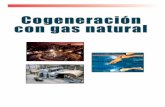 ¿Qué es la cogeneración? - · PDF filecogeneración con turbina de gas ... bypass silenciador chimenea vapor a proceso valvula de derivacion electricidad gas natural turbina recuperador