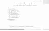 10-LA MATEMAGIA DESVELADA - Eusko · PDF fileUno de los primeros libros dedicados a mostrar principios matemáticos aplicados a la ... En el siglo XX ocurrió el despegue de la magia