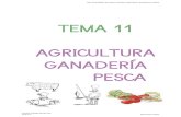 TEMA 11 AGRICULTURA GANADERÍA PESCA · PDF fileTEMA 11 AGRICULTURA GANADERÍA PESCA Obj. Actividades del sector primaria: agricultura, ganadería y pesca Parque-Colegio Santa Ana