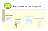 Funciones de las Brigadas - ur.mx · PDF fileFunciones de la brigada contra incendios Coordinador •En caso de siniestro, coordina, dirige y lleva el registro de las acciones llevadas