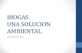 BIOGAS UNA SOLUCION AMBIENTAL - · PDF fileGUATEMALA 2015 . Beneficios del Biogas como Tratamiento de Residuos ... •Decreto 236-2006 •Articulo N. 20 Reducción progresiva para