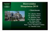 Bienvenidos Bioquímica 2016 - Bioquimica Kinesiologia · PDF fileSburlati, Laura. BIOQUÍMICA “Es la ciencia que estudia las diversas moléculas que se presentan en las células