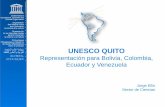 Oficina de UNESCO en  · PDF fileintrínsecos de los pueblos indígenas, que derivan de sus estructuras políticas, ... Programas de UNESCO: Países andinos: transición CTI CTI-S