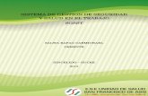 PROGRAMA DE SALUD OCUPACIONAL - - "Transformando Salud"esesanfranciscosincelejo.gov.co/.../documentos/saludocupacional.pdf · 7.3 funciones del copaso 7.4 funciones de los trabajadores