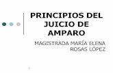PRINCIPIOS DEL JUICIO DE AMPARO - te.gob.mx · PDF fileEn el artículo 4º. de la Ley de Amparo responde ... referencia a la existencia de un menoscabo u ofensa que recae y se concreta