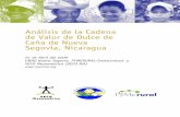 Análisis de la Cadena de Valor de Dulce de Caña de Nueva ... · PDF fileAnálisis de la Cadena de Valor de Dulce de Ca ña en Nueva Segovia, Nicaragua. 2 Antecedentes PYMERURAL es