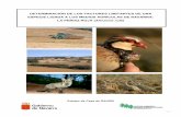 DETERMINACIÓN DE LOS FACTORES LIMITANTES DE · PDF file3 1.3. Tendencia de las aves ligadas a los medio agrícolas. La tendencia mostrada por las aves esteparias y en general las