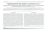 IDENTIFICACIÓN DEL AGENTE CAUSANTE DE LA · PDF file79 Artículo Científico Salazar, I.C.; Martínez Granja, E.; Peña, F.; Cabezas, M.; Gómez, J.: Marchitez en proteas RESUMEN