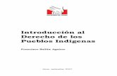 Introducción al Derecho de los Pueblos Indígenascipa-peru.org/libros_pdf/Introduccion_al_Derecho_de_los_Pueblos... · 2 Introducción al Derecho de los Pueblos Indígenas ' Francisco