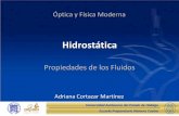 Óptica y Física Moderna - uaeh.edu.mx · PDF fileRESUMEN La Hidrostática estudia a los fluidos en reposo. Los fluidos presentan propiedades características como la tensión superficial,
