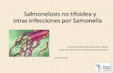 Salmonelosis no tifoidea y otras infecciones por · PDF fileotras infecciones por ... •En la actualidad representan un problema de salud pública dada la aparición de ... Menores