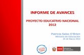 INFORME DE AVANCES -  · PDF file– Estudios: Mapeo internacional, percepción de docentes sobre currículo, análisis de currículos regionales, análisis de currículo actual,