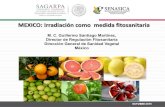 MEXICO: Irradiación como medida fitosanitaria - nappo. · PDF fileOCTUBRE 2015 MEXICO: Irradiación como medida fitosanitaria M. C. Guillermo Santiago Martínez, Director de Regulación