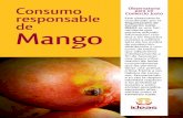 Organización de Comercio Justo IDEAS Mango · PDF fileEntre las variedades de mango más conocidas, destacamos Haden, ... “Paquete tecnológico para el cultivo de mango en el ...