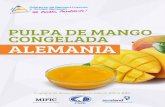 CNPE/Fichas producto mercad… · crecer en Alemania, el puré de mango es mayormente elaborado ... participación de los principales ... el mayor productor de mango del mundo es