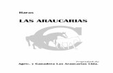 105Haras Las Araucarias 2016 - CRIADORES Las Araucarias.pdf · Agric. y Ganadera Las Araucarias Ltda.Agric. y Ganadera Las Araucarias Ltda. ... C.2004 Funsie Saumarez CHAMBERS N.1999