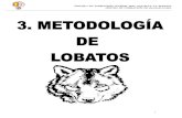 METODOLOGÍA DE LOBATOS -  · PDF filelobatos. 8.2.- diccionario prÁctico de la rama de lobatos . escuela de animaciÓn juvenil msc castilla-la mancha ... los juegos, normas,
