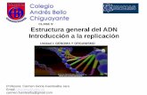 Estructura general del ADN Introducción a la replicación · PDF file1-Estructura General del ADN 2-Genes específicos 3-Proceso de replicación y regulación enzimática de la expresión