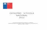 CATASTRO VITICOLA NACIONAL 2012 - ODEPA - Oficina · PDF filecatastro viticola nacional (hectáreas) diciembre 2012 cuadro n° 2 pisquera de atacama 412,67 516,85 de coquimbo 7.308,75