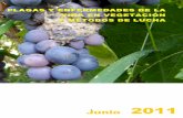 Plagas y enfermedades de la viña en vegetación y métodos ... · PDF fileINFORMACIÓN TÉCNICA Plagas y enfermedades de la viña en vegetación y métodos de lucha 3 Las sustancias