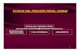 ETAPAS DEL PROCESO PENAL COMUN - mpfn.gob.pe · PDF fileetapas del proceso penal comun etapas del proceso penal investigacion preparatoria fase intermedia juzgamiento. 2 la investigaciÓn