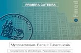 Mycobacterium. Parte I: Tuberculosis - Facultad de ... · PDF filecausal de tuberculosis pulmonar (1% de todos los casos) % 100 90 80 70 60 50 40 30 20 10 0 Pulmonar 85,1% Extra-pulmonar