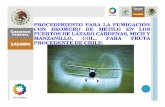 PROCEDIMIENTO PARA LA FUMIGACIÓN CON …meteorastudio.com/bsl/docspdf/capacitacion... · Este procedimiento se aplicará en los puertos de Lázaro Cárdenas, Michoacán y Manzanillo,