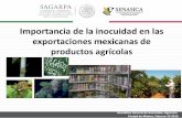 Importancia de la inocuidad en las exportaciones mexicanas ... HFS agrocare 19febrero2016.pdf · Importancia de la inocuidad en las exportaciones mexicanas de productos agrícolas