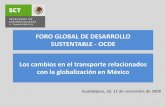 FORO GLOBAL DE DESARROLLO SUSTENTABLE - · PDF fileLos cambios en el transporte relacionados con la globalización en México Guadalajara, Jal. 11 de noviembre de 2008 1 FORO GLOBAL