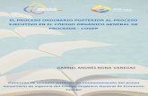 GABRIEL ANDRÉS REINA VANEGAS - · PDF filerias y secundarias del derecho procesal ecuatoriano. PALABRAS CLAVES: ... través de un análisis investigativo de las fuentes que informan