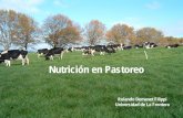Nutrición en Pastoreo - Praderas y Pasturaspraderasypasturas.com/rolando/01.-Catedras/02.-Produccion_de_Carn… · CHS: Carbohidratos no estructurales o solubles DIVM: ... Efecto