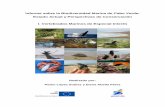 Informe sobre la Biodiversidad Marina de Cabo Verde: … final_BIOTECMAR_2.pdf · Distribución de la tortuga boba en el océano Atlántico. Con una flecha roja se marca la población