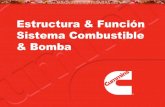 Estructura & Función Sistema Combustible & Bomba · PDF fileEstructura & Función del Sistema CRI ... valores fijados para la carga y revoluciones del ... presión del CR llega a