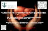 Cuidados Postoperatorios: Cirugía Hepática · PDF fileprotocolos de cuidados postoperatorios : cirugia hepatica . estrategias de manipulacion de volumen . sartd-chguv sesión de
