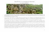 Budismo y ecología profunda - RAMA ARJUNA (Barcelona) · PDF file1 Budismo y ecología profunda C. Jotin Khisty* “El matrimonio de los sistemas espirituales con la ecología profunda