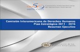 Resumen Ejecutivo - español -  · PDF filee Internacional, meta que fue alcanzada en una ... Con fundamento en estos pilares se ... de los derechos humanos por parte