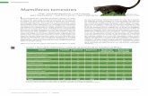 Mamíferos terrestres -  · PDF fileEspecies I Biodiversidad y Desarrollo Humano en Yucatán BIODIVERSIDAD 269 El hecho de que México registre una gran diversidad y ende