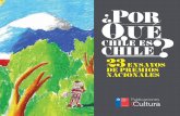 CHILE ES CHILE 23 ENSAYOS DE PREMIOS -Chile-es... · PDF file© Consejo Nacional de la Cultura y las Artes ... premio nacional de ciencias aplicadas ... la ha centrado en una de las