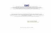 ESTRATEGIAS DE ENSEÑANZA PARA DESARROLLAR · PDF fileHABILIDADES DEL PENSAMIENTO EN LA ESCUELA BÁSICA ESTADAL CAURA. ... (2004) sobre procesos cognitivos básicos marcaron la pauta