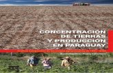 CONCENTRACIÓN DE TIERRAS Y PRODUCCIÓN EN · PDF file3. La estructura agraria en Paraguay 13 3.1. Antecedentes 13 3.2. La ... na fue clave para la apertura de la frontera agraria