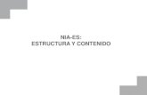 NIA-ES: ESTRUCTURA Y CONTENIDO - aobauditores.comaobauditores.com/nias/nia-es-estructura-y-contenido.pdf · 505 NIA-ES Vs Normas ... 510 NIA-ES NTA Equivalente ... NIA-ES 520 NIA-ES