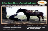 Caballo Andaluzcaballoandaluz.com/revista3_2007.pdf · el ejercicio de presentación montado 6,96 y en la ... • NARRADOR XII de Yeguada Indalo • JALEO CXVII de Yeguada Indalo