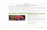 Capítulo 3: Aspectos tecnológicos del · PDF fileUniversidad Ecotec PRODUCTO CARACTERISTICAS Arreglos florales de origami para mesa principal o pedestales Elaborado por: Paper Flower