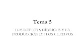 Tema 5 LOS DEFICITS HÍDRICOS Y LA PRODUCCIÓN DE · PDF filetema 5 los deficits hÍdricos y la los deficits hÍdricos y la producciÓn de los cultivosproducciÓn de los cultivos.
